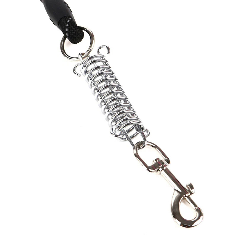 Rope Dog Leash with Foam Grip and Steel Spring Buckle Clip Pet Walking Lead Random Colour