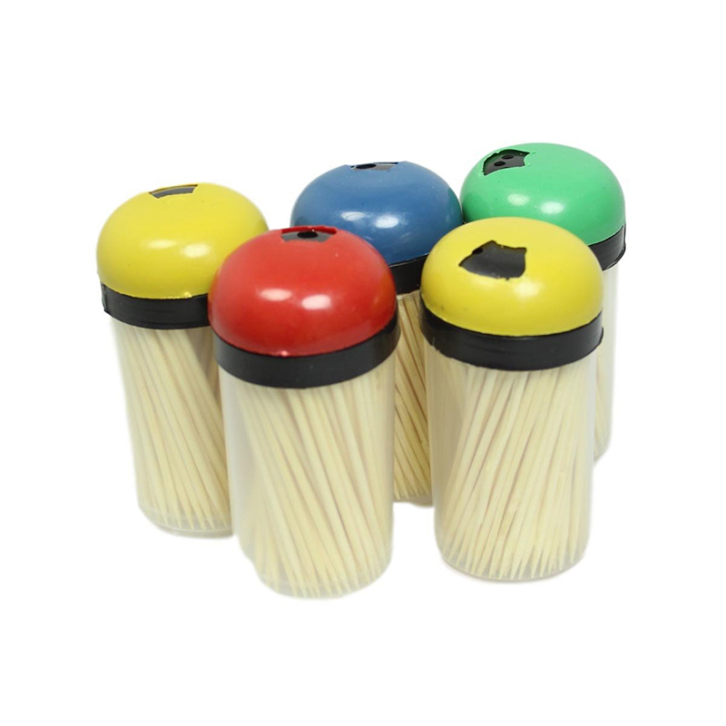 Plastic Toothpick Holder with Toothpicks Food Essentials Pack of 5 Assorted Colours Random sent