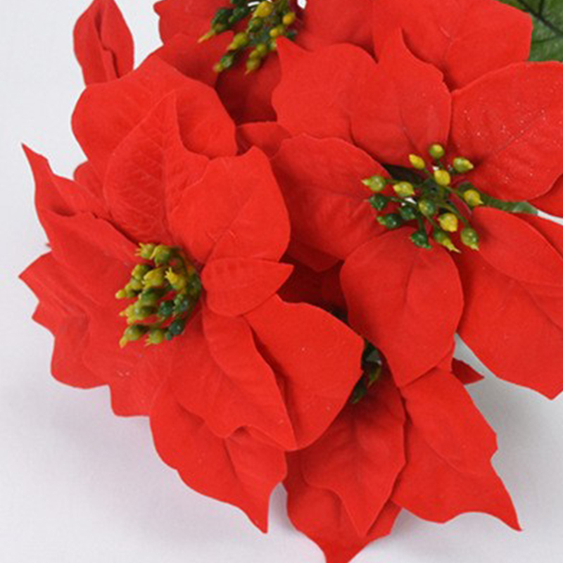 Christmas Festive Door Wreath with Red Poinsettia Flowers 20cm