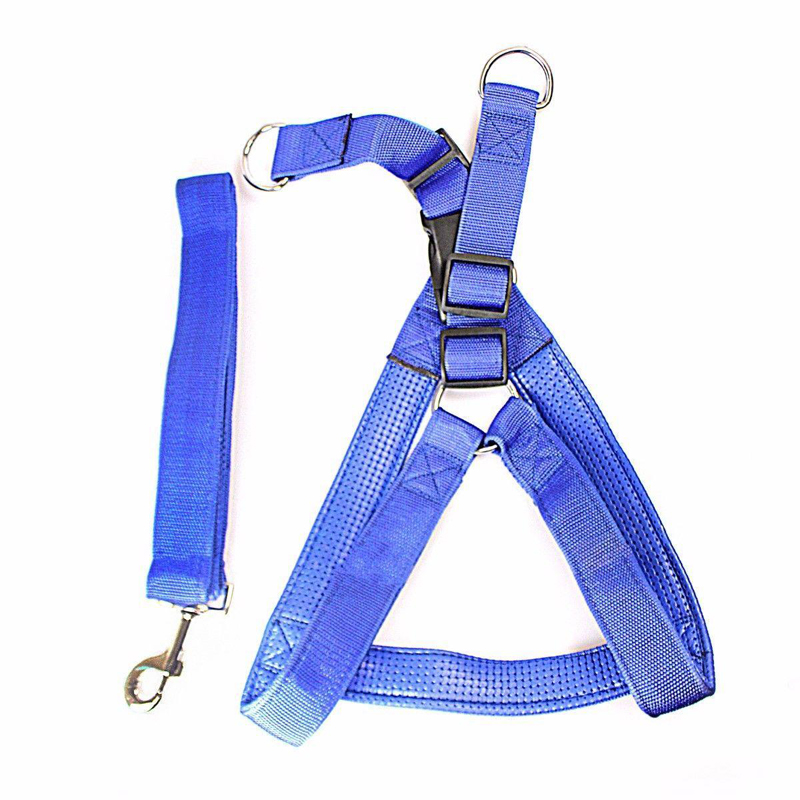 Pet Dog Harness Big Nylon Belt Assorted Colours