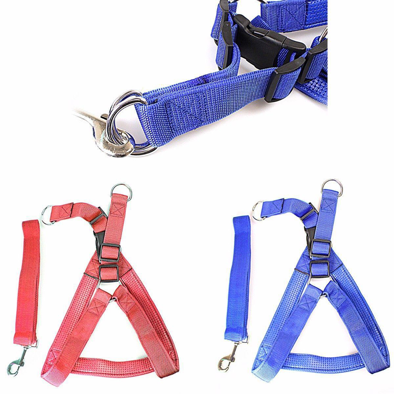 Pet Dog Harness Big Nylon Belt Assorted Colours