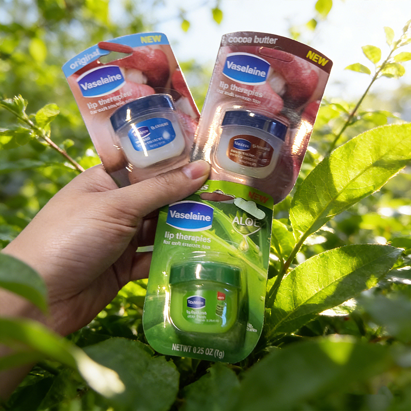 3PCS Lip Balm Dry Lips Lip Balm Moisturizing Lipstick Base Makeup Natural Petroleum Jelly Care Gifts Random Color