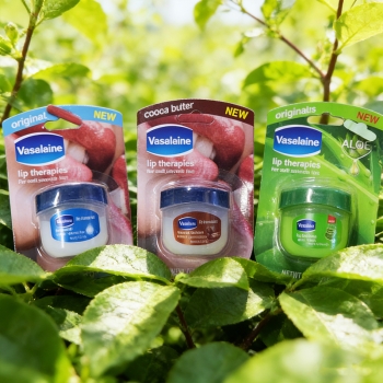 3PCS Lip Balm Dry Lips Lip Balm Moisturizing Lipstick Base Makeup Natural Petroleum Jelly Care Gifts Random Color