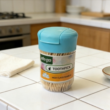 PlastiPlastic Toothpick Holder with Toothpicks 8 x 5 cm Random Colour Home