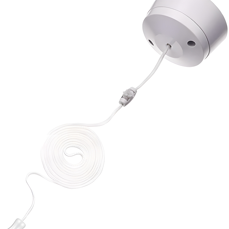 Status 6 Amp 2 Way Toilet Light Ceiling Switch