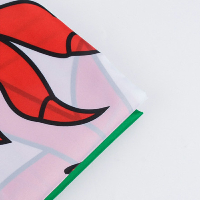 Quality Large WALES WELSH Flag Rugby Bunting Banner Flags