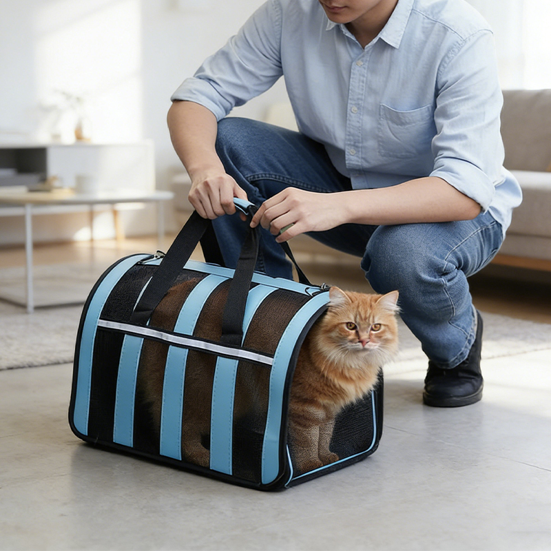 Pet Carrier Dog Cat Foldable Breathable Mesh Carrier 48.5 x 26 x 27cm Random Colours