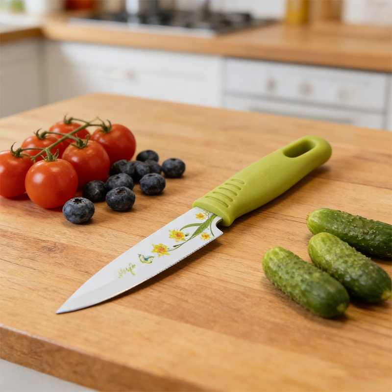 Metal Kitchen Fruit Knife with Cover 19.5cm Plastic Handle