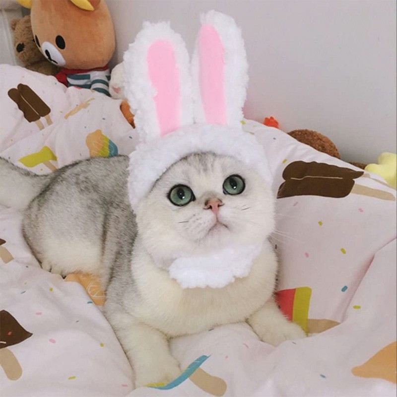 Cute Costume Bunny Rabbit Hat with Ears for Cats and Small Dogs Party Costume Easter Pet Accessory Headwear