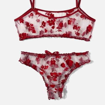 Women Underwear Bikini Two Piece Tulle Floral Print Lingerie Wine Red - S