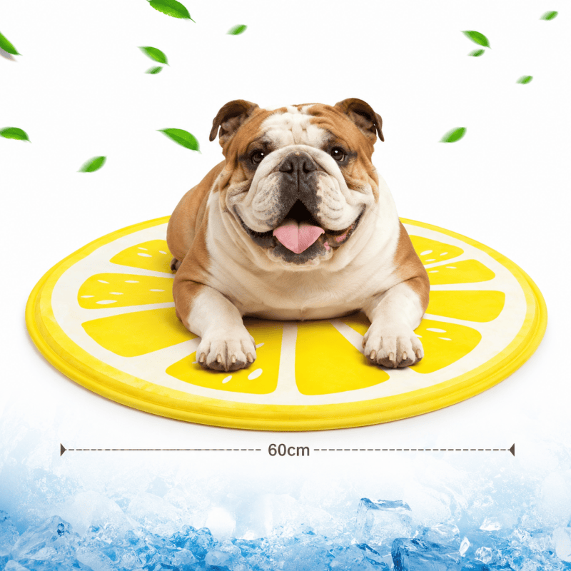 Dog Cooling Mat, Dog Cat Pet Self Cooling Gel Mat Large Dogs Cooling Pads Mats 60CM Yellow