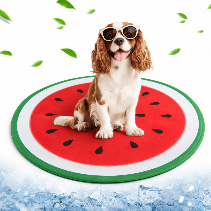 Dog Cooling Mat, Dog Cat Pet Self Cooling Gel Mat Large Dogs Cooling Pads Mats 60CM Red