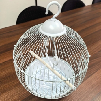 White Round Bird Cage with Hanging Hook 28cm Diameter Small Parrot Cage