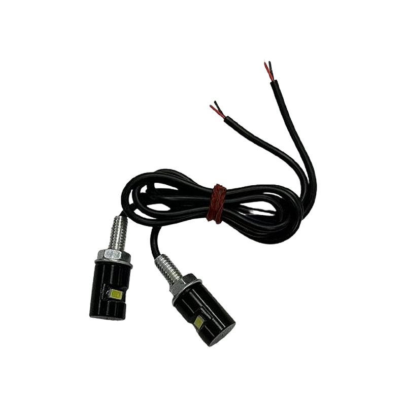 Auto LED Number License Plate 2pcs Srew Bolt Light